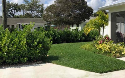 Photo of Darrius R.'s yard after getting lawn care in Jensen Beach, FL