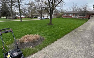 Photo of Carleen T.'s yard after getting lawn care in Hamilton, OH