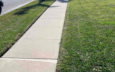 Photo of Kelly B.'s yard after getting lawn care in San Clemente, CA