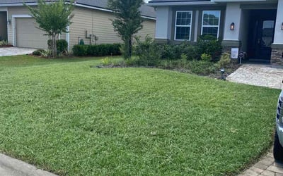 Photo of Michael B.'s yard after getting lawn care in South Ozone Park, NY