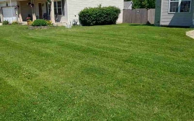 Photo of Robert M.'s yard after getting lawn care in Plainfield, IL