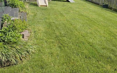 Photo of Ramon L.'s yard after getting lawn care in Greenwood, IN