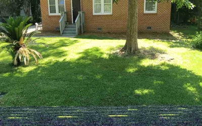 Photo of Nicole P.'s yard after getting lawn care in Columbus, GA