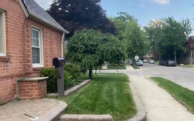 Photo of Paddy H.'s yard after getting lawn care in Carmel, IN