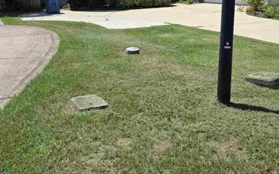 Photo of Heidi J.'s yard after getting lawn care in Sykesville, MD