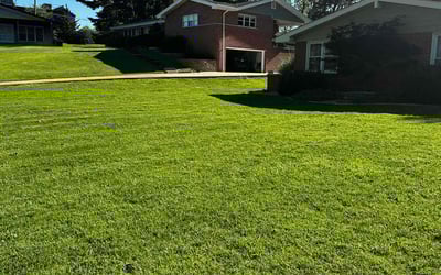 Photo of Gary F.'s yard after getting lawn care in Creve Coeur, MO