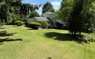 Photo of Darrel G.'s yard after getting lawn care in Wynnewood, PA