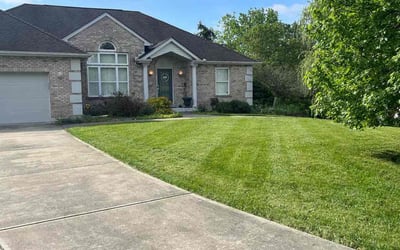 Photo of Tiffany B.'s yard after getting lawn care in Forest Park, OH