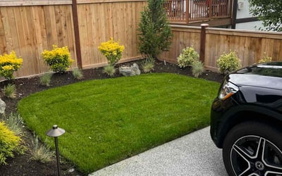 Photo of Victor L.'s yard after getting lawn care in Kirkland, WA