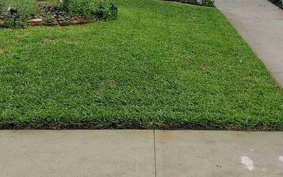 Photo of Yung C.'s yard after getting lawn care in Houston, TX