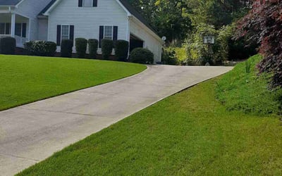 Photo of Seth T.'s yard after getting lawn care in Central, SC