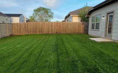 Photo of Allen R.'s yard after getting lawn care in Neptune, NJ