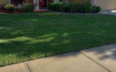Photo of Rachel S.'s yard after getting lawn care in Cincinnati, OH