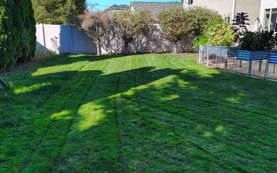 Photo of Tony O.'s yard after getting lawn care in Vancouver, WA