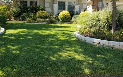 Photo of Bertha H.'s yard after getting lawn care in El Paso, TX