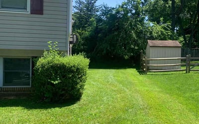 Photo of Kai S.'s yard after getting lawn care in Owings Mills, MD