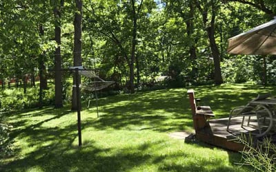 Photo of Deb K.'s yard after getting lawn care in Madison, WI