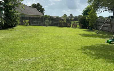 Photo of Ramona S.'s yard after getting lawn care in Waltham, MA