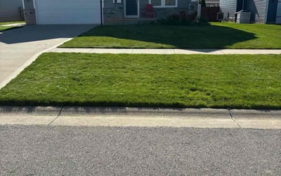 Photo of Melissa C.'s yard after getting lawn care in Commack, NY