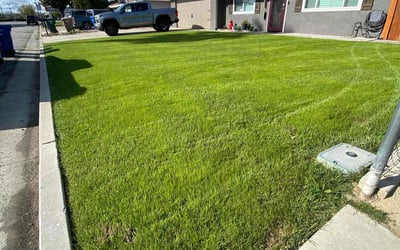 Photo of Eric B.'s yard after getting lawn care in Bakersfield, CA