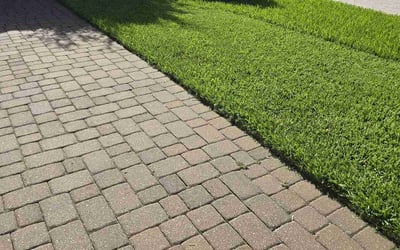 Photo of Brandon L.'s yard after getting lawn care in Homosassa, FL