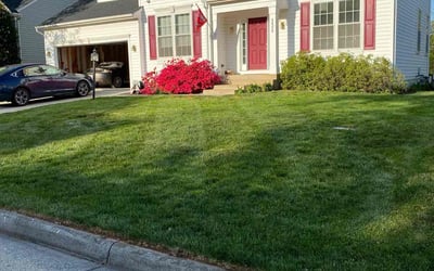 Photo of Stephen P.'s yard after getting lawn care in Ashburn, VA