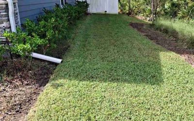 Photo of Dan W.'s yard after getting lawn care in Victorville, CA
