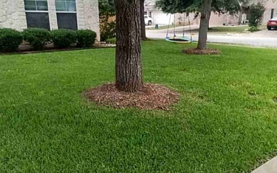 Photo of Joan L.'s yard after getting lawn care in Cedar Creek, TX