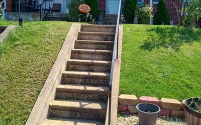 Photo of Chancelyn W.'s yard after getting lawn care in Baltimore, MD