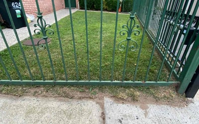 Photo of William G.'s yard after getting lawn care in Ossining, NY