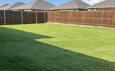 Photo of Michael P.'s yard after getting lawn care in Lakeland, FL