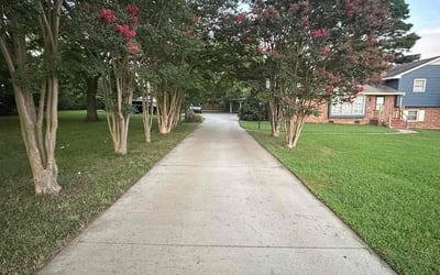 Photo of Jennifer R.'s yard after getting lawn care in Burlington, NC