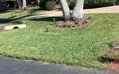 Photo of Heather H.'s yard after getting lawn care in Jensen Beach, FL