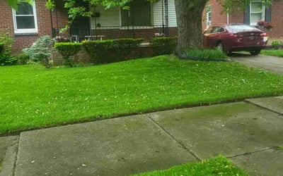 Photo of Elizabeth E.'s yard after getting lawn care in Covington, GA