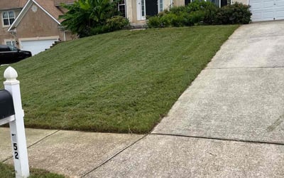 Photo of Andrea P.'s yard after getting lawn care in Jonesborough, TN