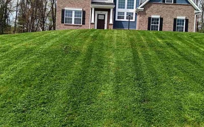 Photo of Anthony G.'s yard after getting lawn care in Youngstown, PA