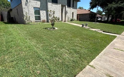Photo of Marie G.'s yard after getting lawn care in Lincoln, RI