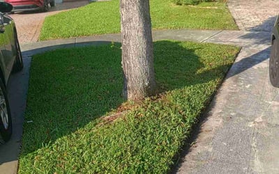 Photo of Ashley V.'s yard after getting tree care in Opa Locka, FL