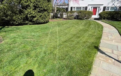 Photo of Tammy S.'s yard after getting lawn care in Rockaway, NJ