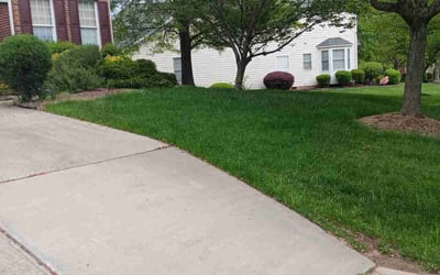 Photo of Laurie B.'s yard after getting lawn care in Thomasville, NC