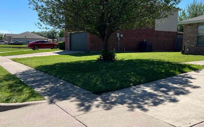 Photo of Blake H.'s yard after getting lawn care in South Richmond Hill, NY