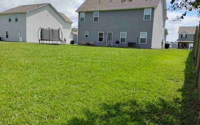 Photo of Angel B.'s yard after getting lawn care in Montevallo, AL