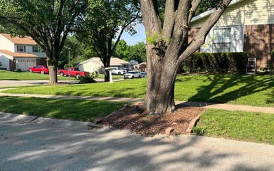 Photo of Tesha S.'s yard after getting lawn care in Sullivan, MO