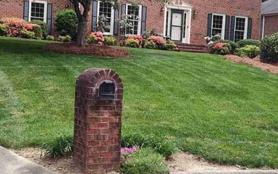 Photo of Jackie J.'s yard after getting lawn care in Greensboro, NC