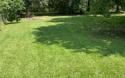 Photo of Charles E.'s yard after getting lawn care in Schertz, TX