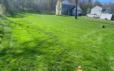 Photo of Jacob K.'s yard after getting lawn care in Lowell, MI