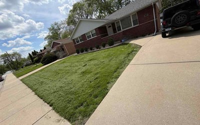 Photo of Kristen D.'s yard after getting lawn care in Lawrence, MA