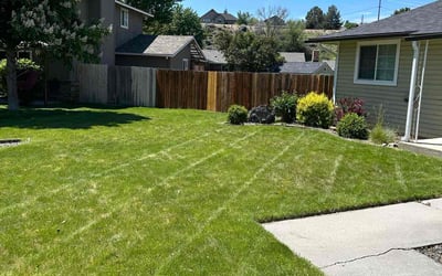 Photo of Erin J.'s yard after getting lawn care in Sewell, NJ