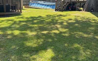 Photo of Alex B.'s yard after getting lawn care in Warner Robins, GA