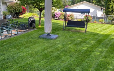 Photo of Brenda I.'s yard after getting lawn care in Arlington, WA